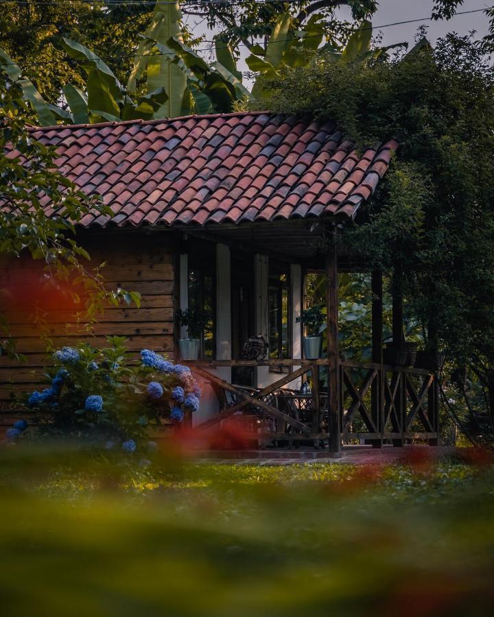 Hotel Menabde Winery Ozurget'i Exterior foto